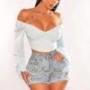 Baby Blue Long Sleeve Lace Up Back Bustier Crop Top